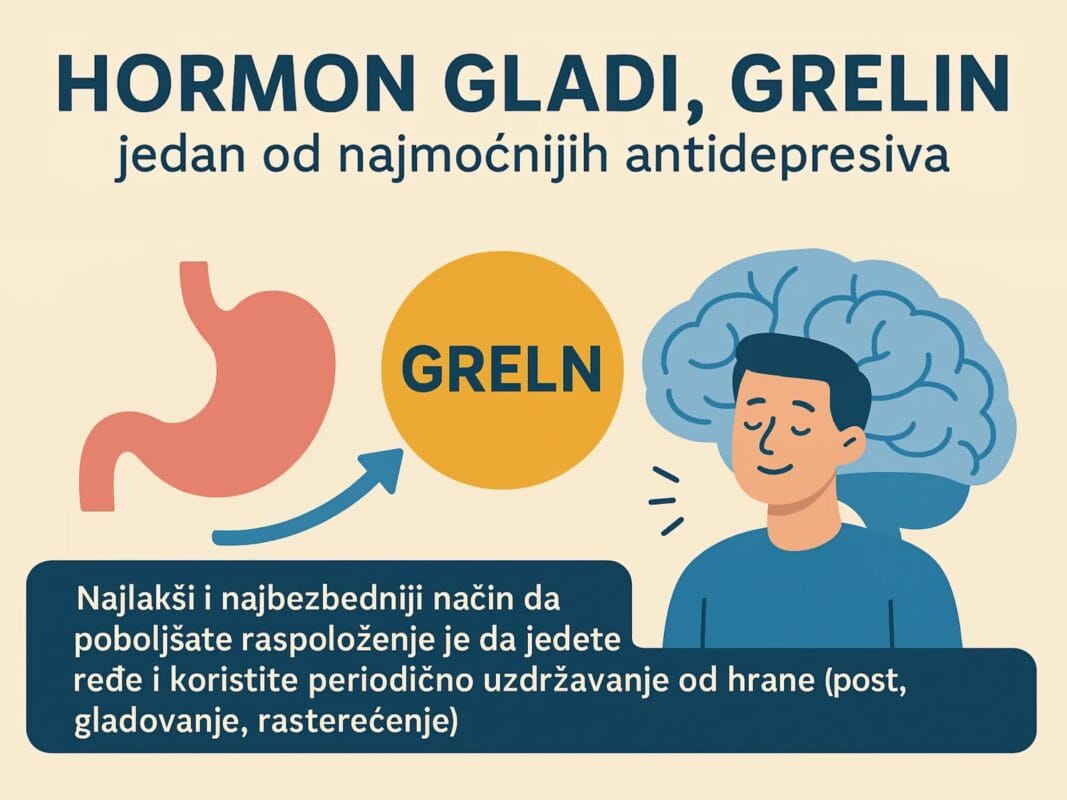 Hormon gladi grelin – ilustracija povezanosti apetita, dopamina i raspoloženja.